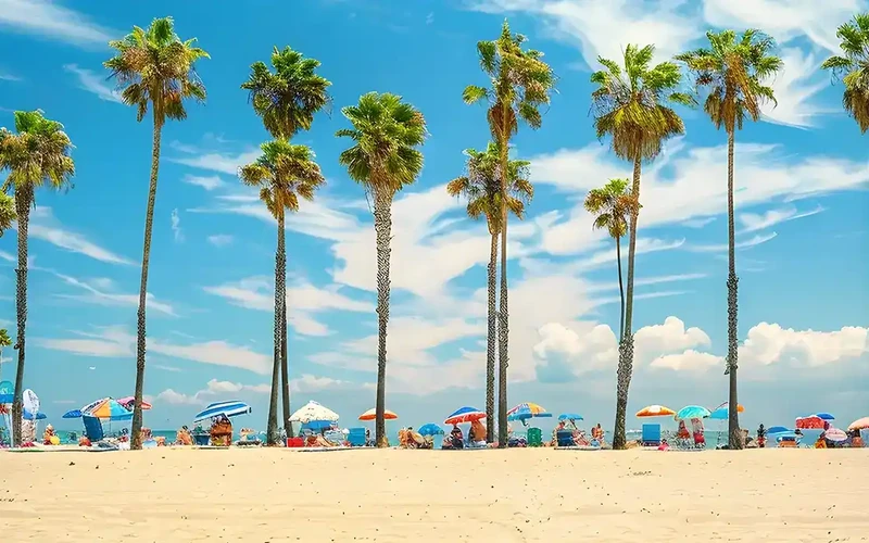 Types of treatment programs in Santa Monica