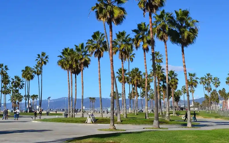 Accessing care without leaving Palmdale