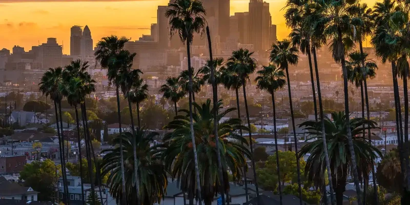 high angle view palm trees against sky sunset