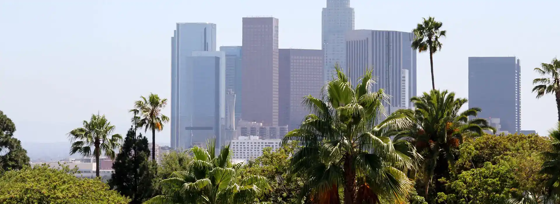 Understanding Treatment for Xanax Addiction in LA